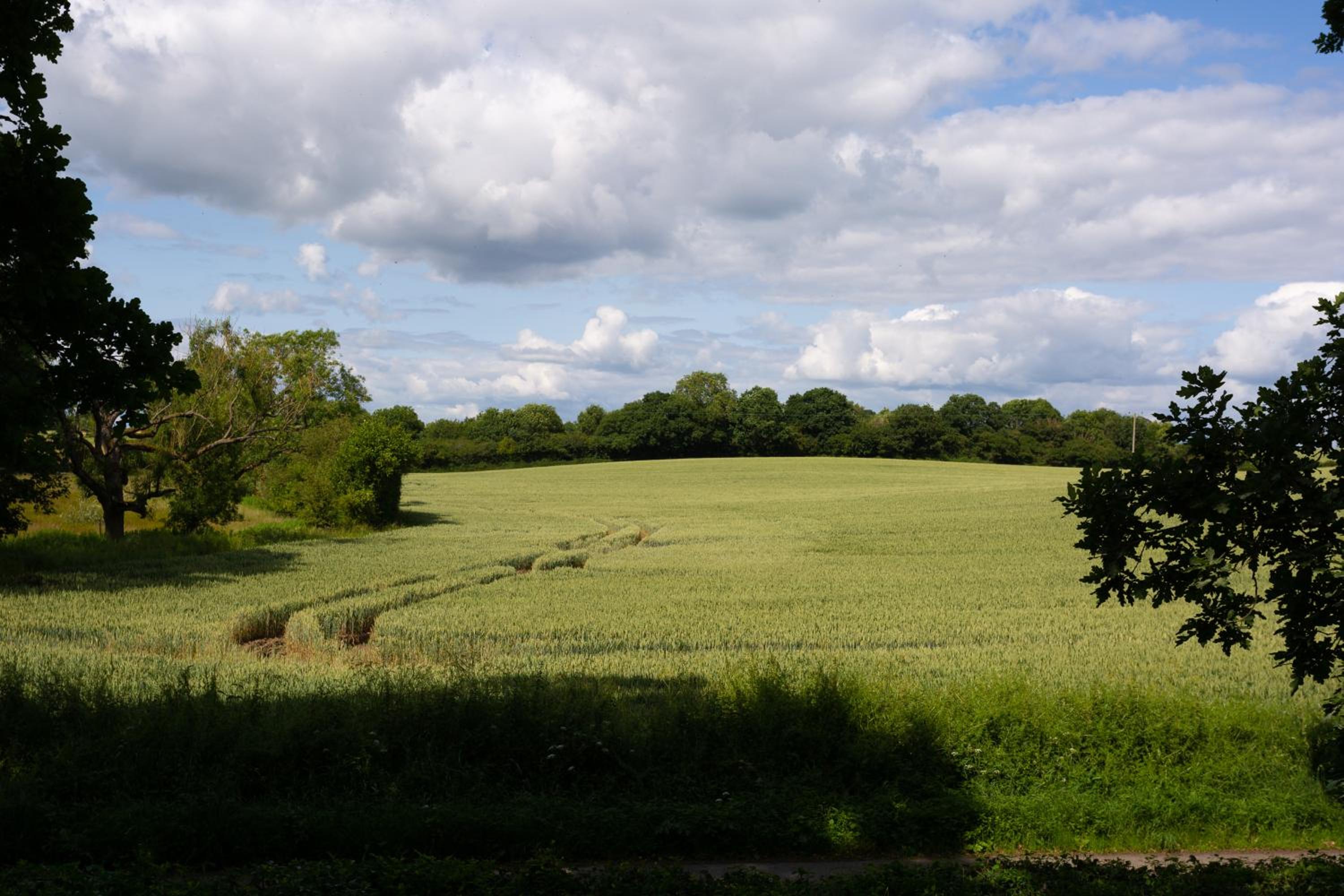 Wensleydale Lodges