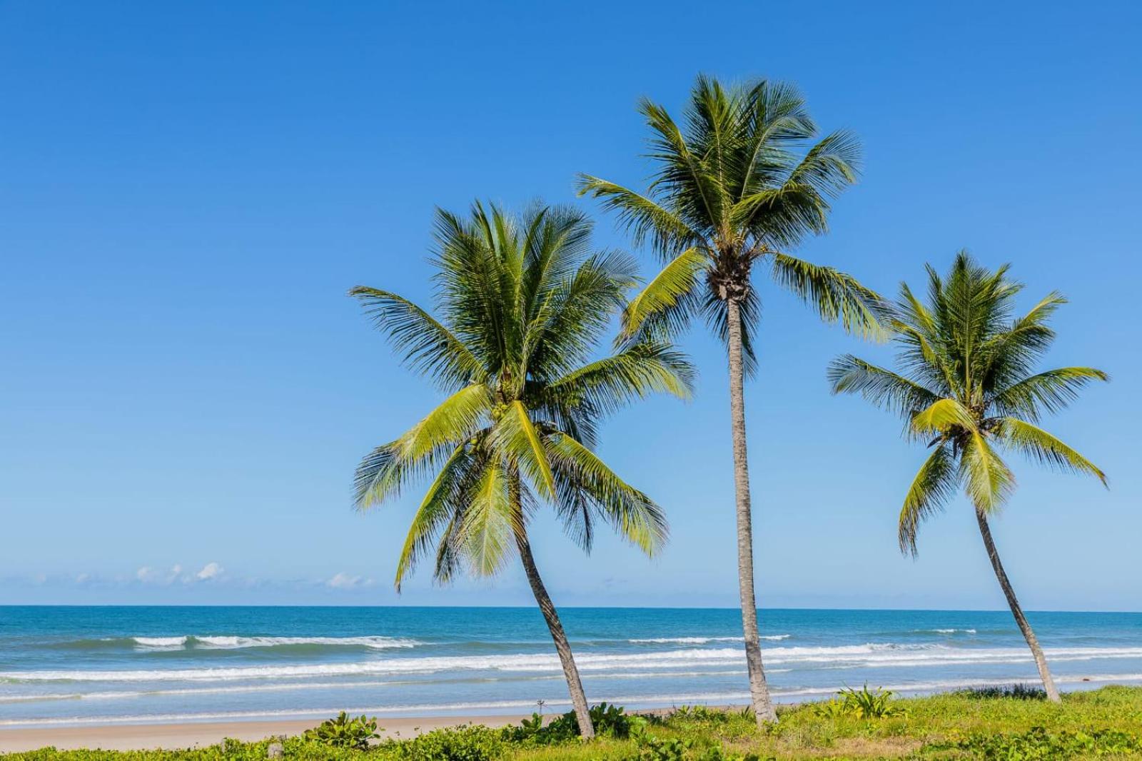 Apê Vumbora Pra Praia, todo climatizado, a 200 m da praia