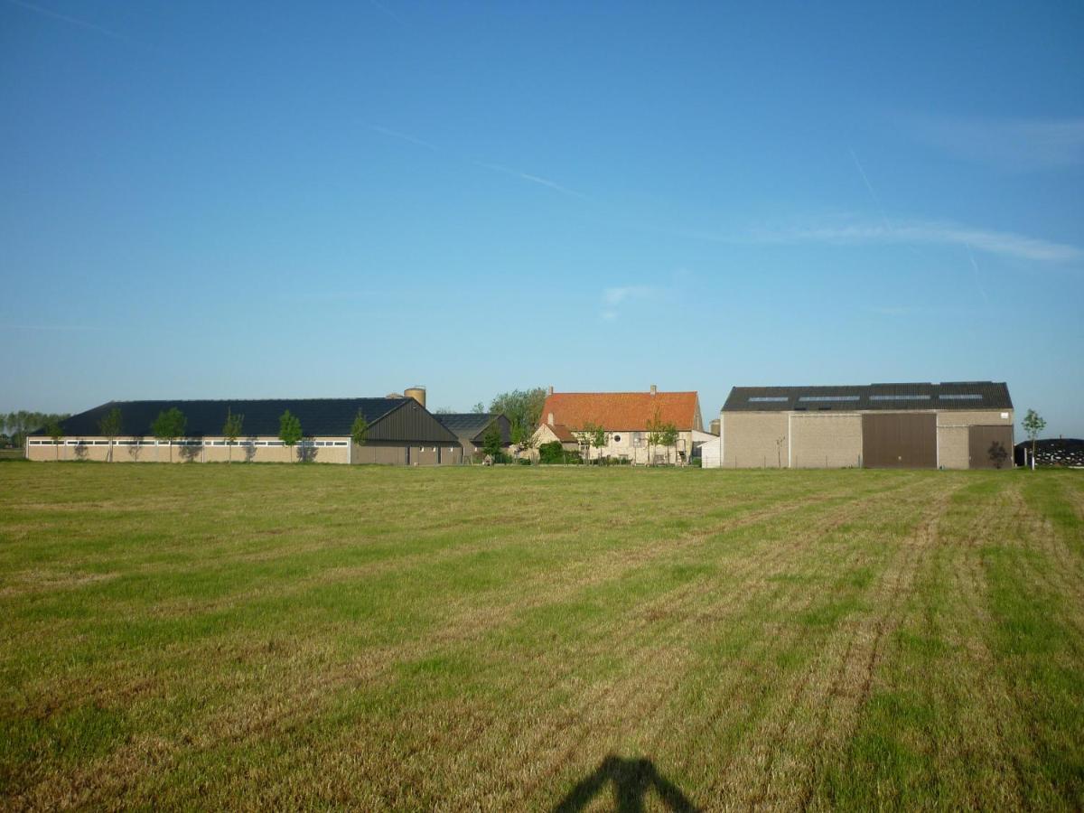 Hoveke Paddebroek