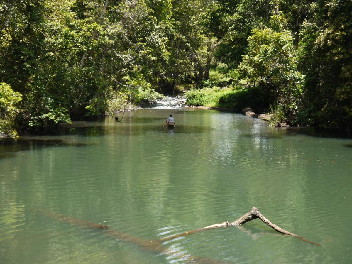 Figtree Getaway