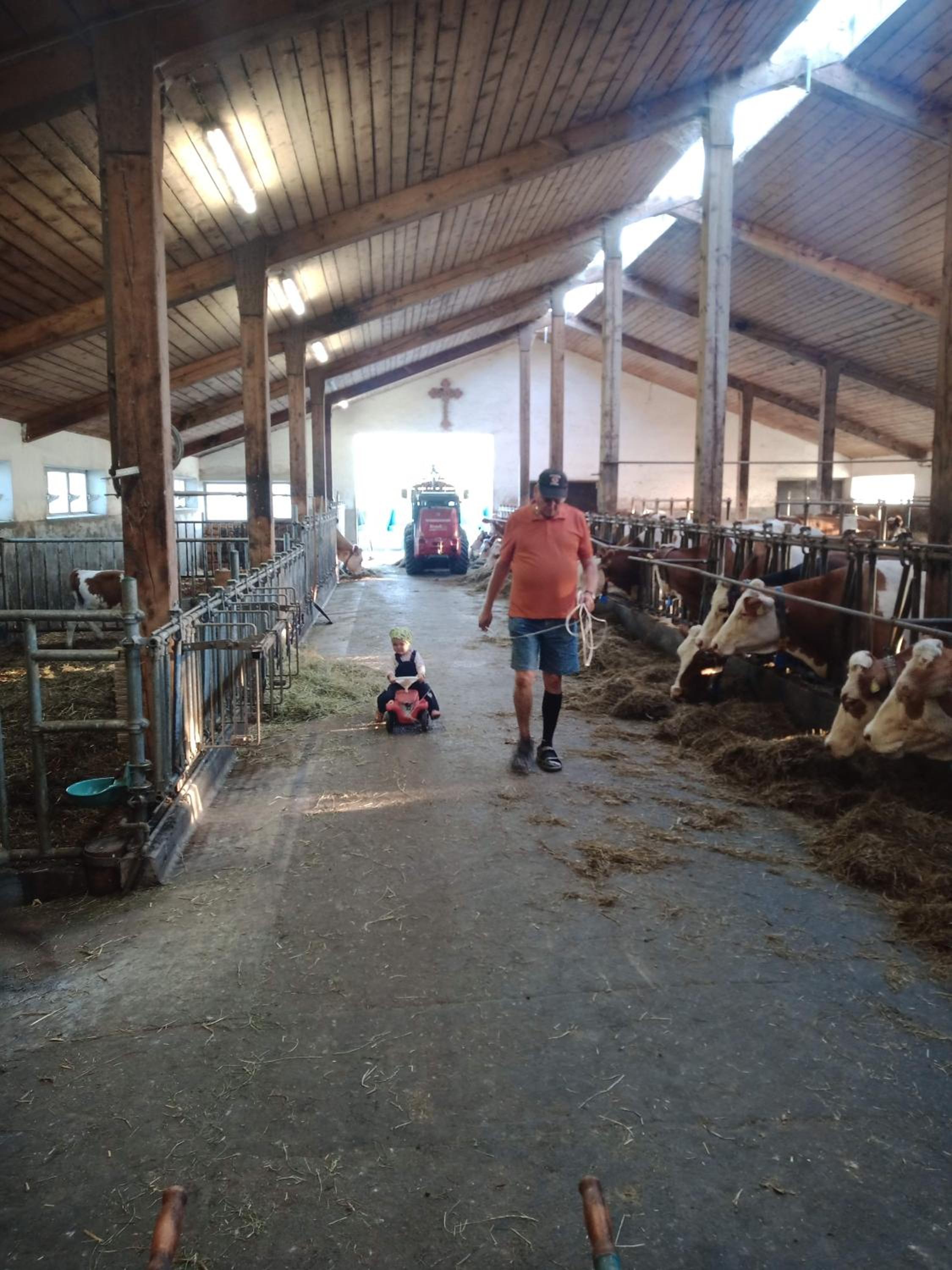 Bio-Ferienhof Köpf