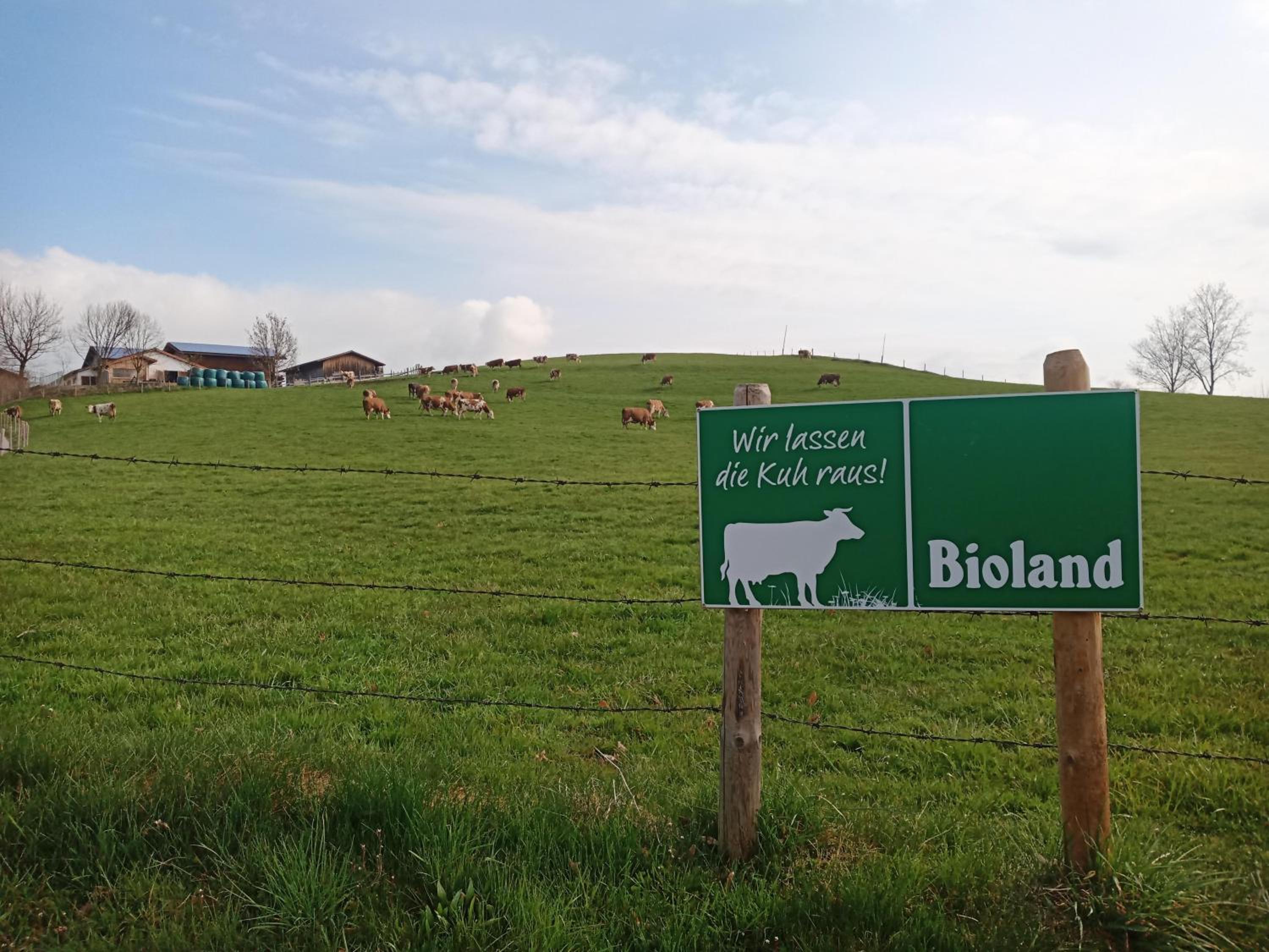 Bio-Ferienhof Köpf