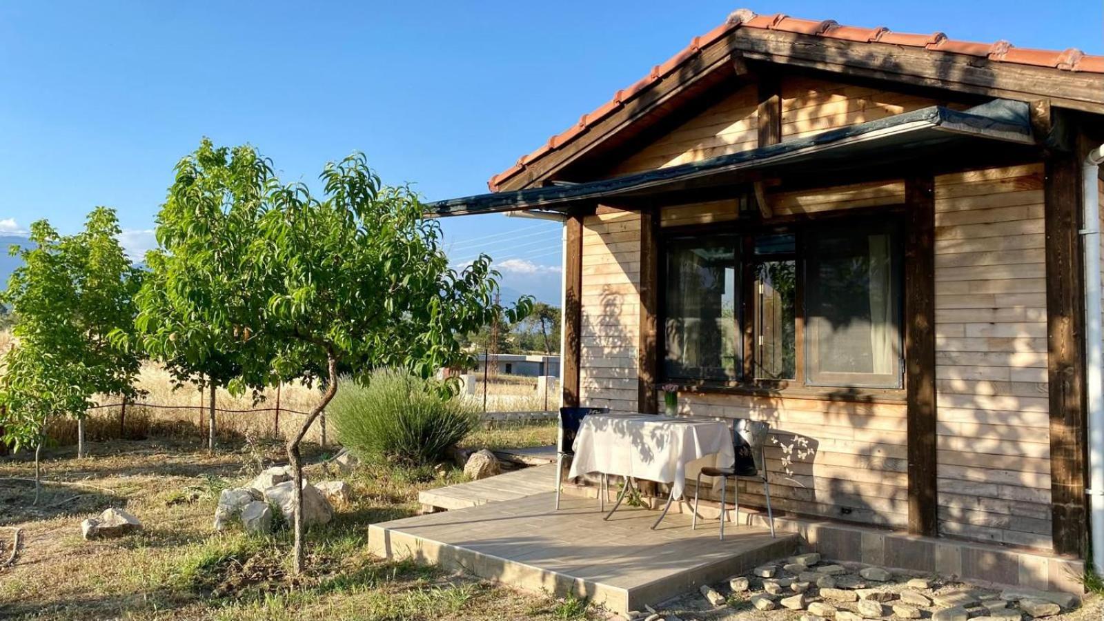 Karmi Apart House view 4