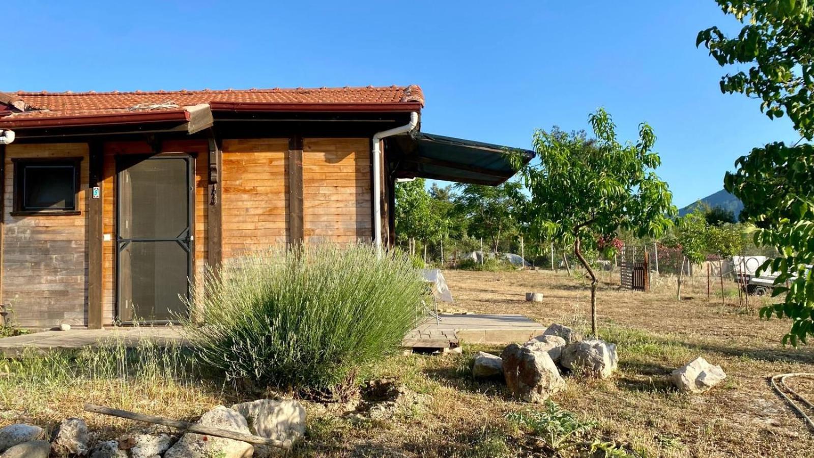 Karmi Apart House view 3