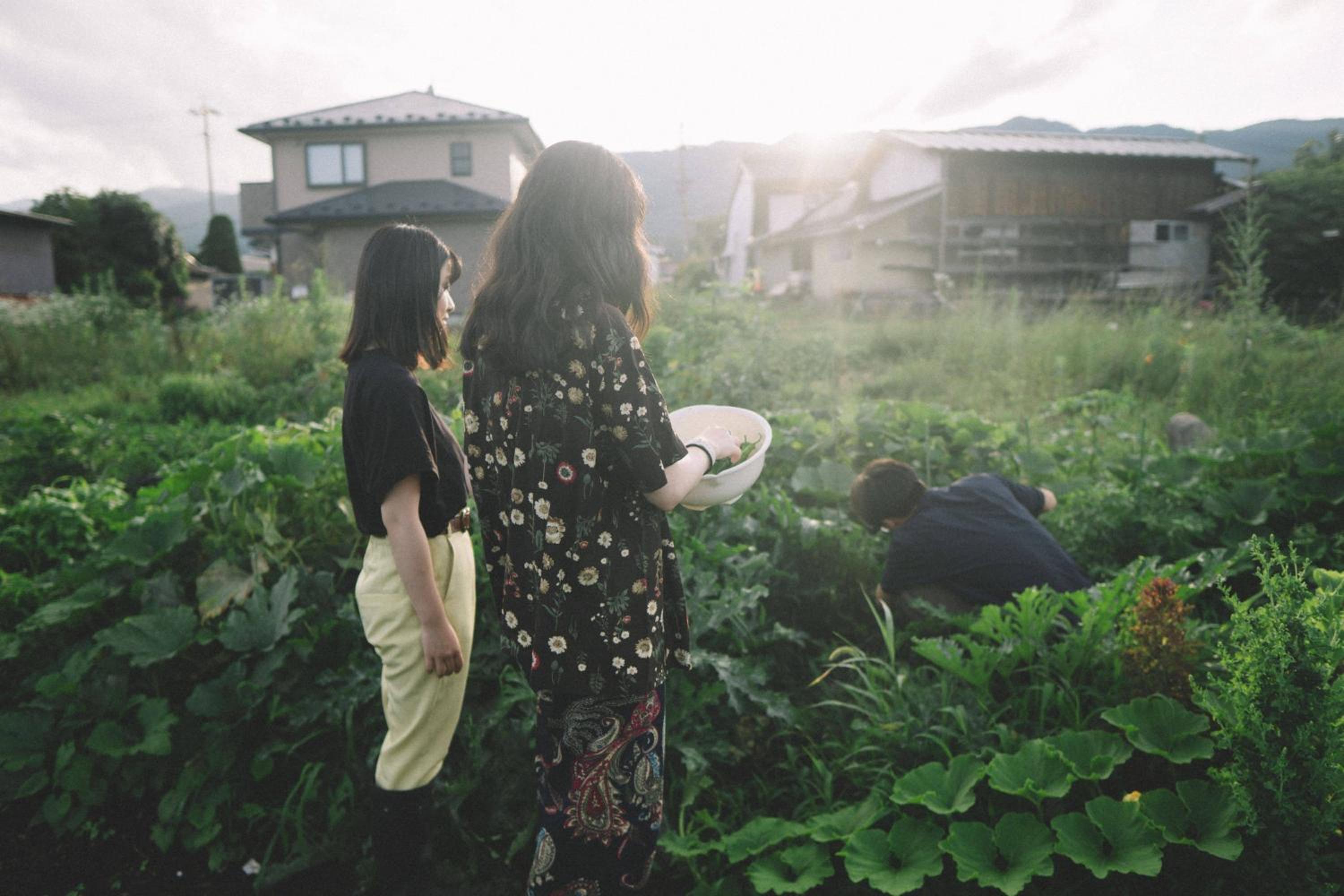 Photo 40
