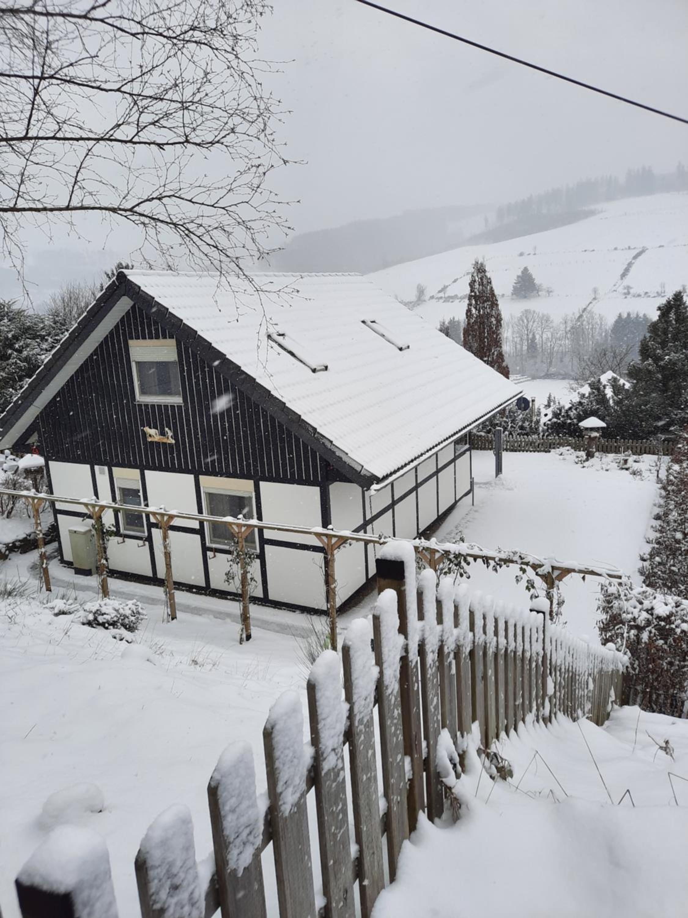 Das Waldhaus
