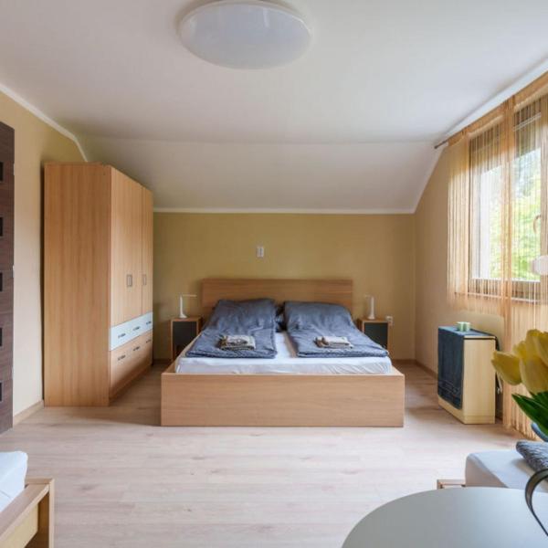 Zebra Apartman Zsóry