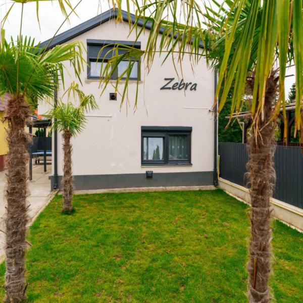 Zebra Apartman Zsóry