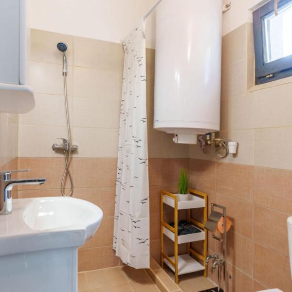Zebra Apartman Zsóry