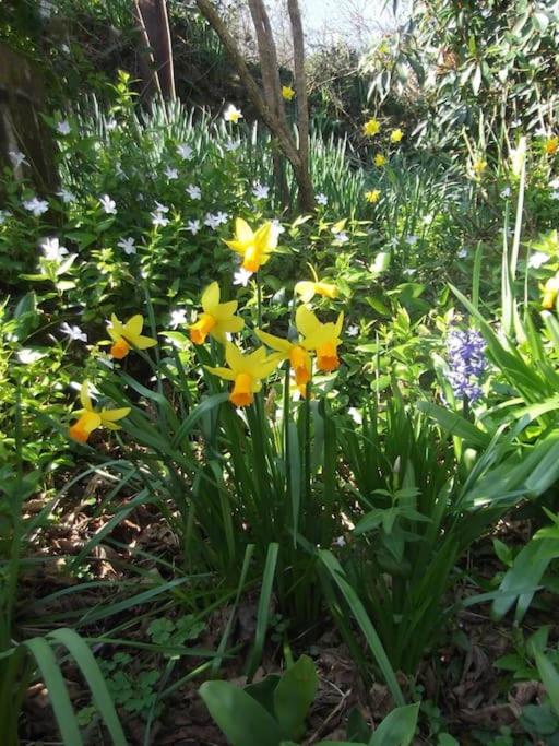 Beautiful Valley Cottage family dog frendly near sea Pixie Cottage Cornwall view 4