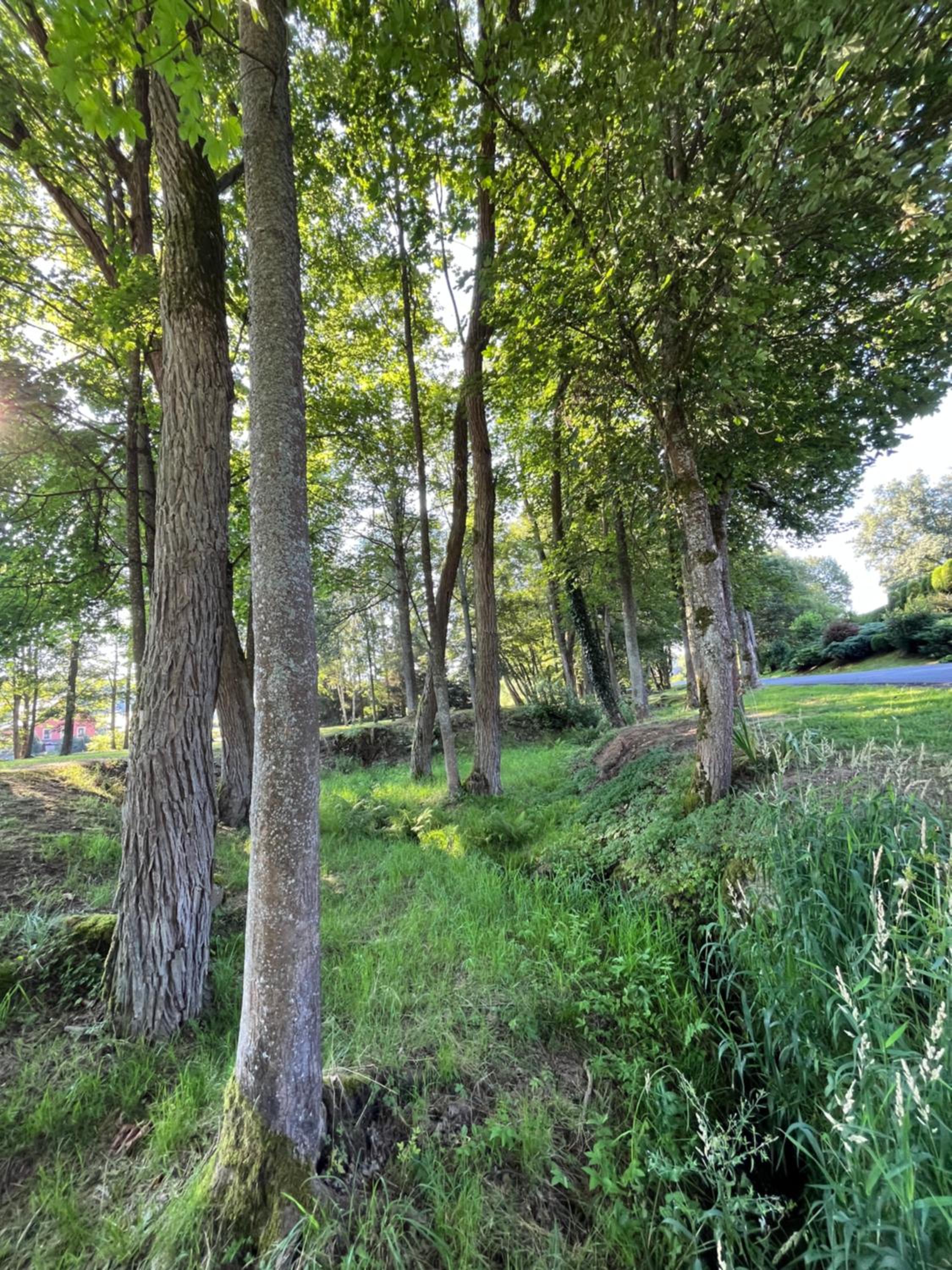 Apartmán Písařovka