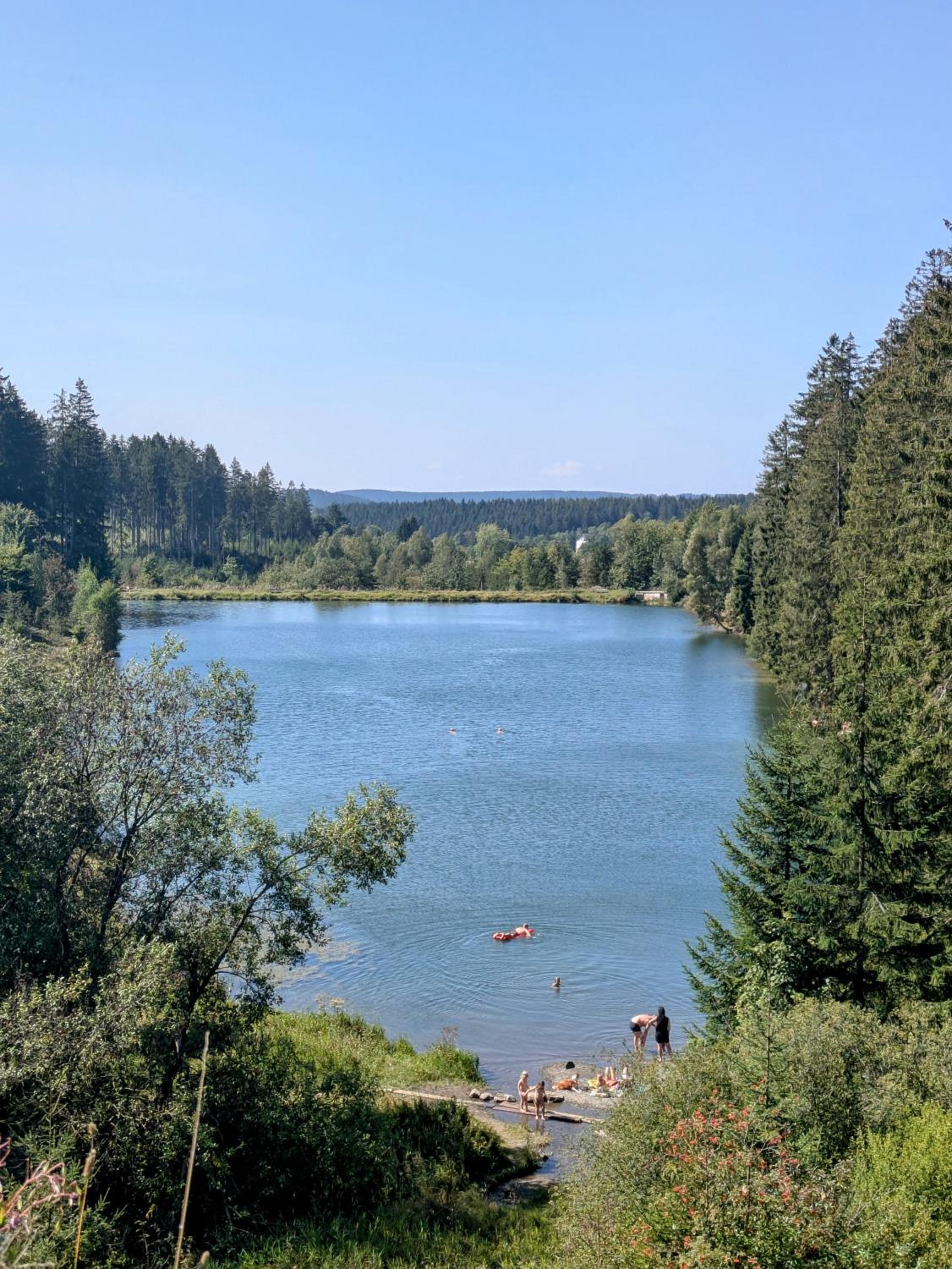 FeWo Waldseeblick Hahnenklee