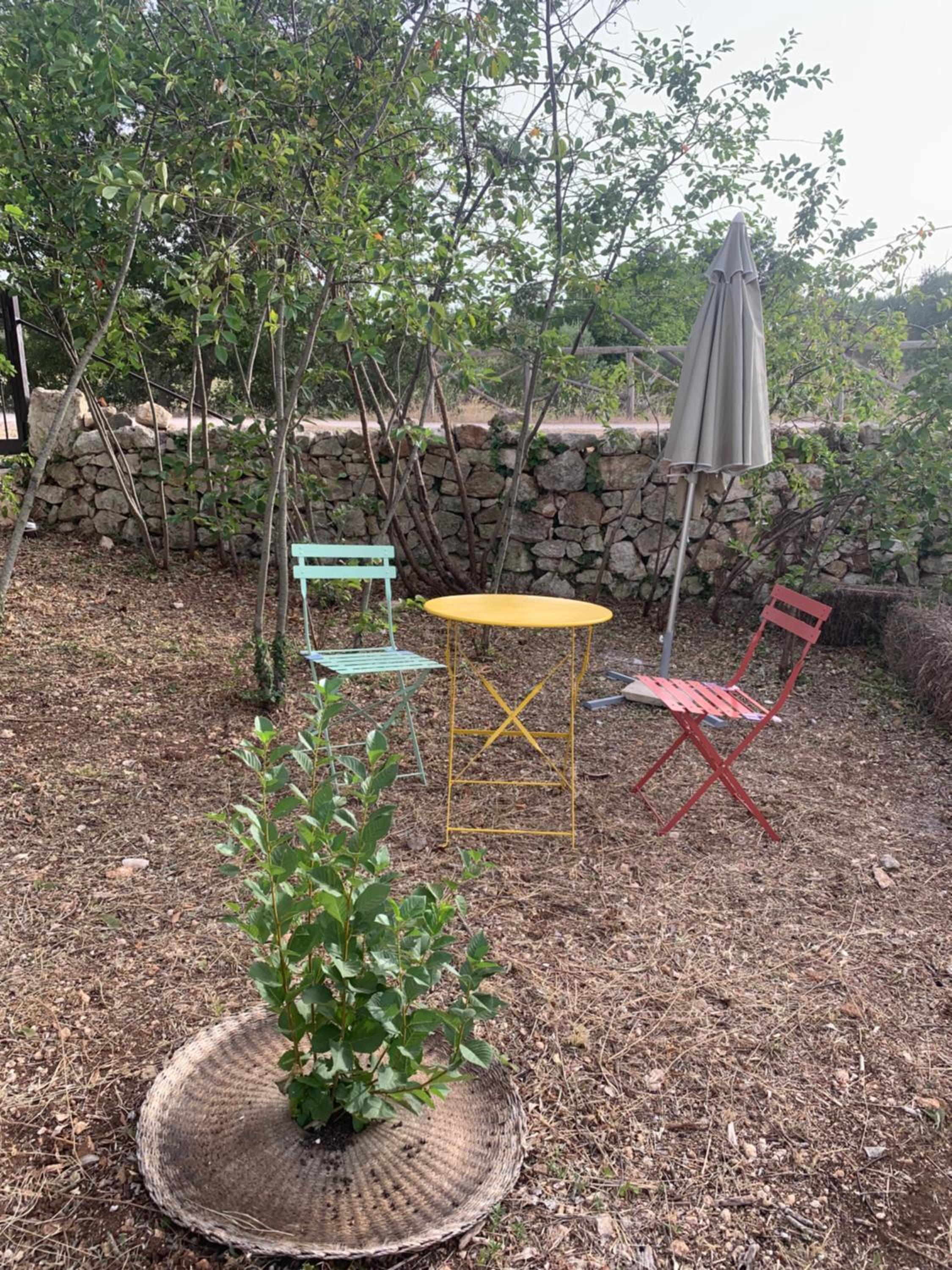 Casale Montedoro