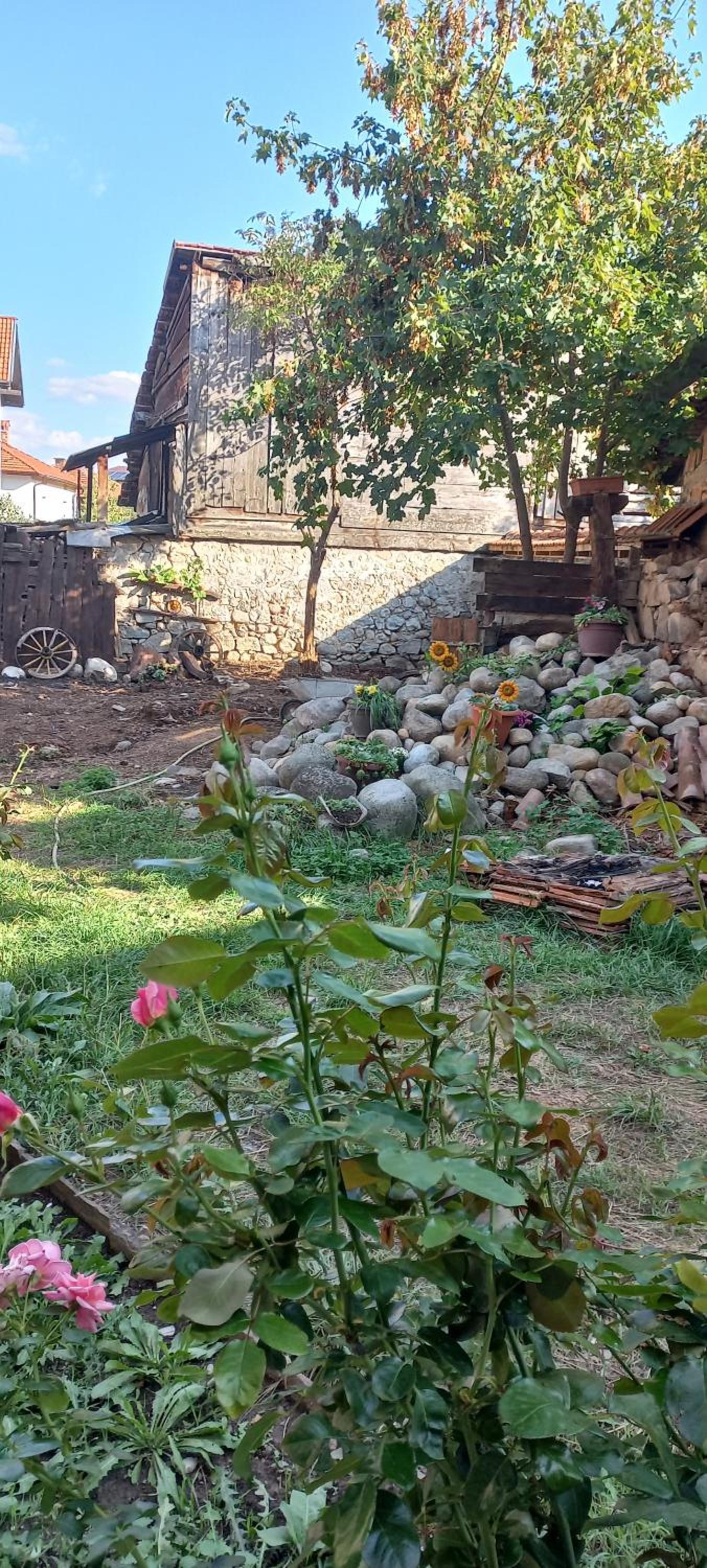 Dumanova house