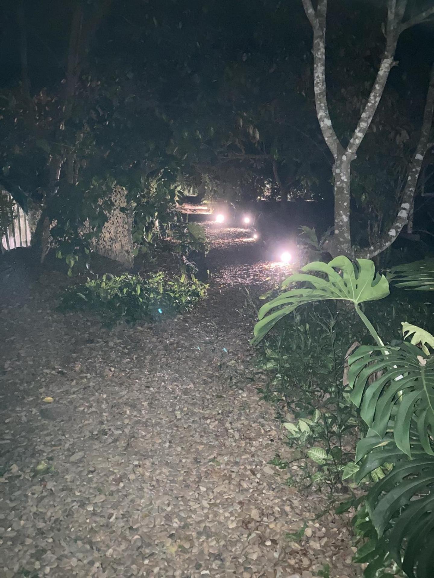 Jungle Like Oasis in San Ignacio - Secluded Cabaa Retreat Close To Mayan Ruins