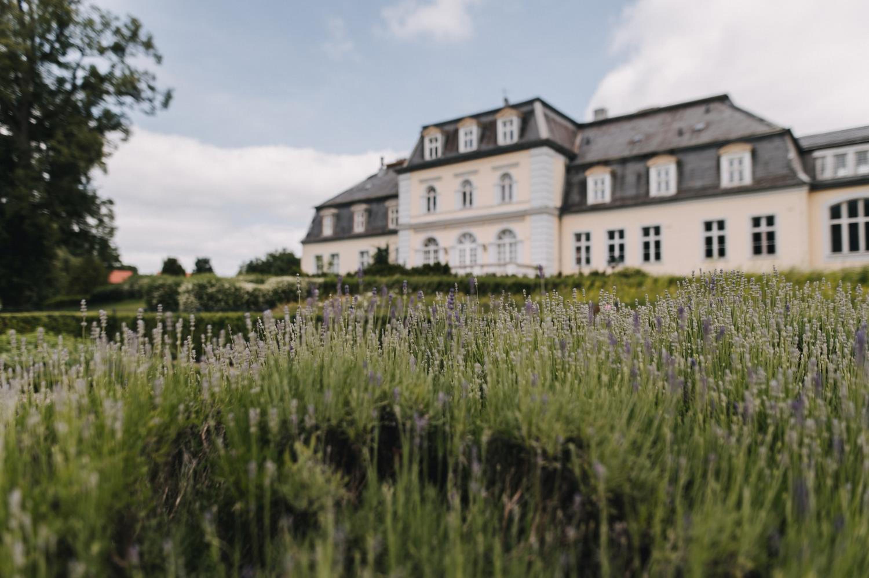 THERESET Schloss Groß Plasten