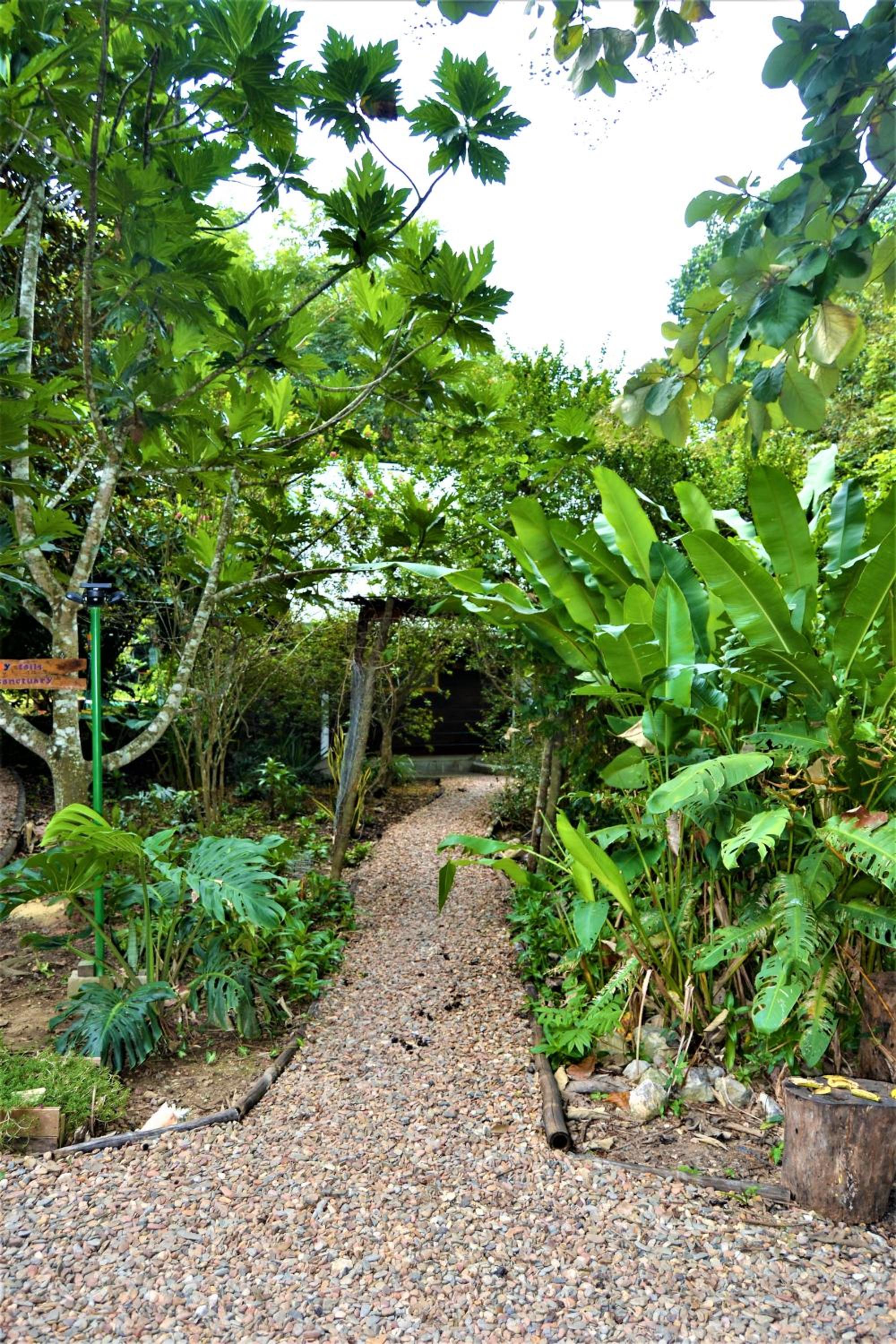 Jungle Like Oasis in San Ignacio - Secluded Cabaa Retreat Close To Mayan Ruins