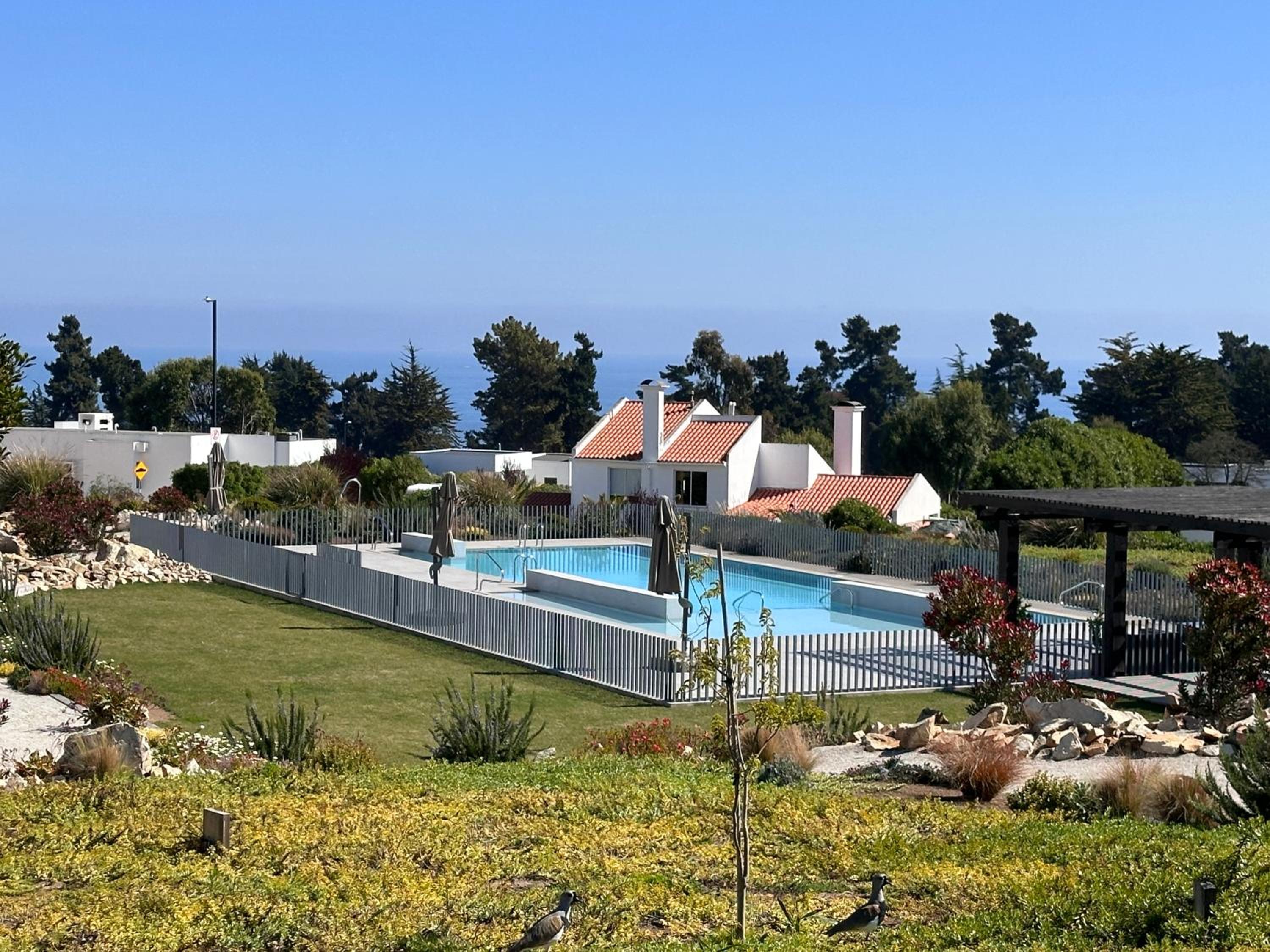Marbella experiencia inolvidable