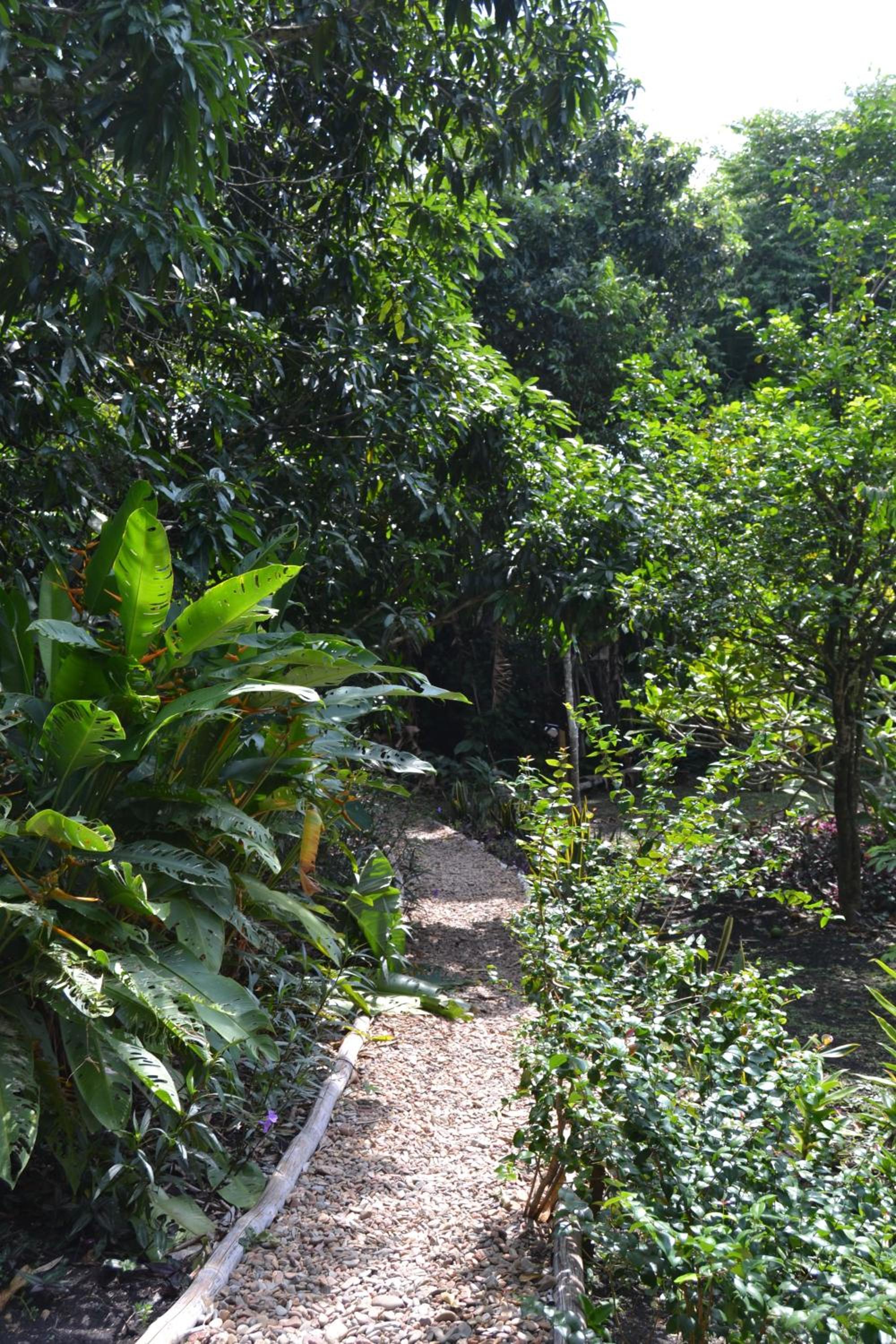 Licensed 2 bedroom cabin Close to San Ignacio, local dining, and adventure tours