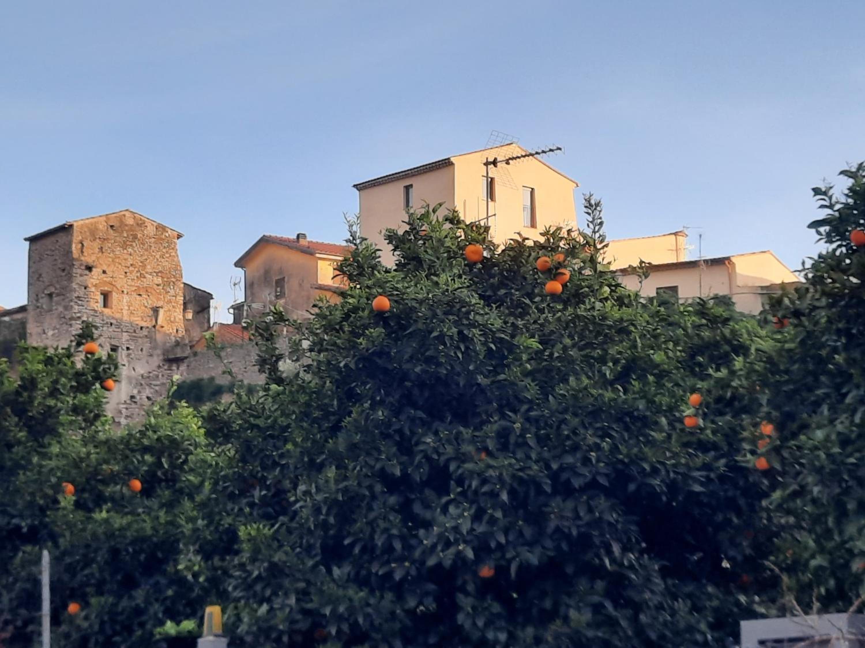 Panoramica Torretta Medievale