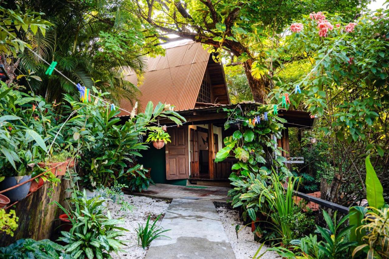 FLOR DE PARAISO BUNGALOWS