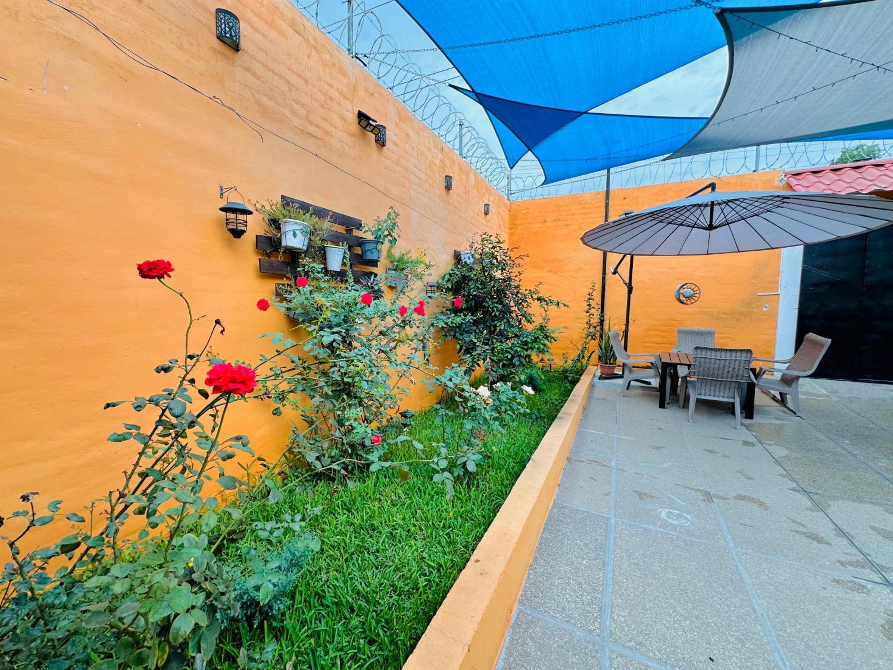 Enjoy Your Vacation at Tone'y House, photo 22