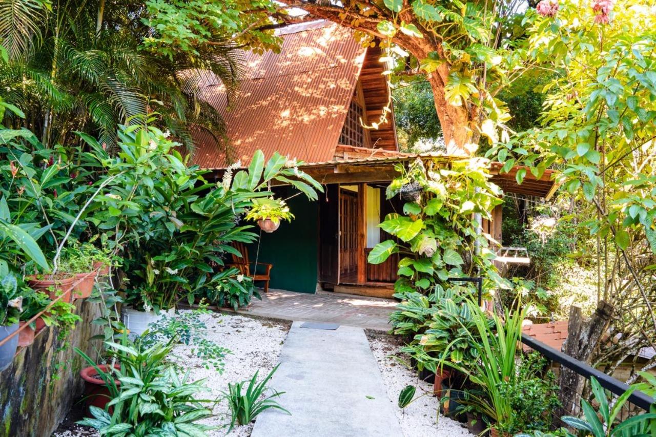 FLOR DE PARAISO BUNGALOWS