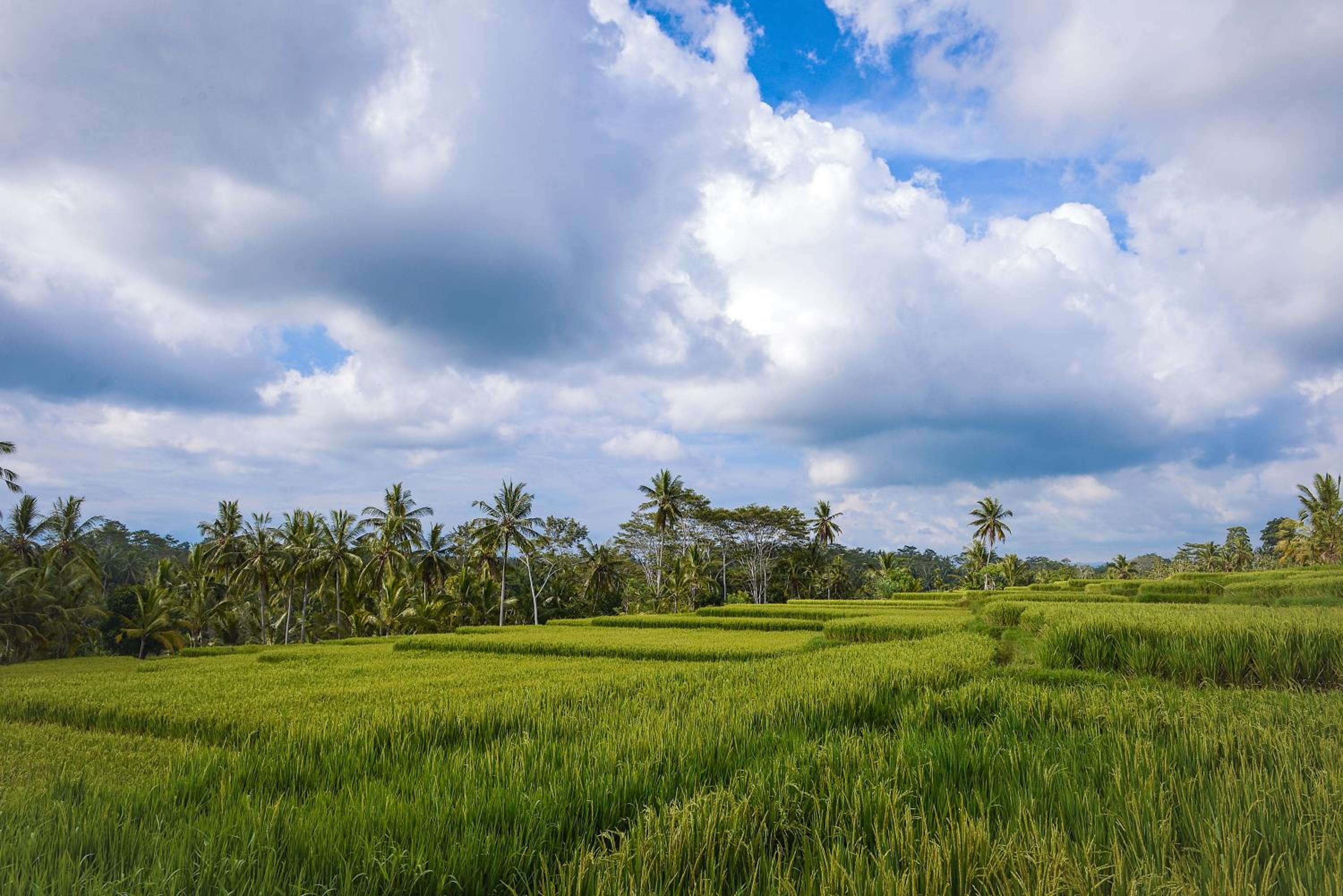 Anusara Luxury Villas