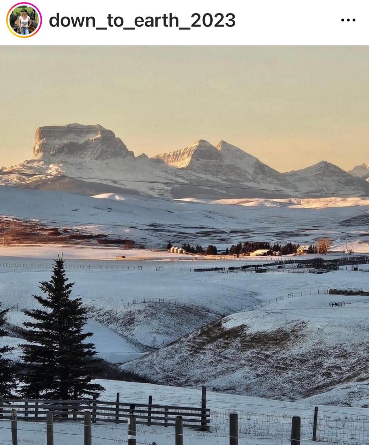 Foothills Ranch & Airbnb