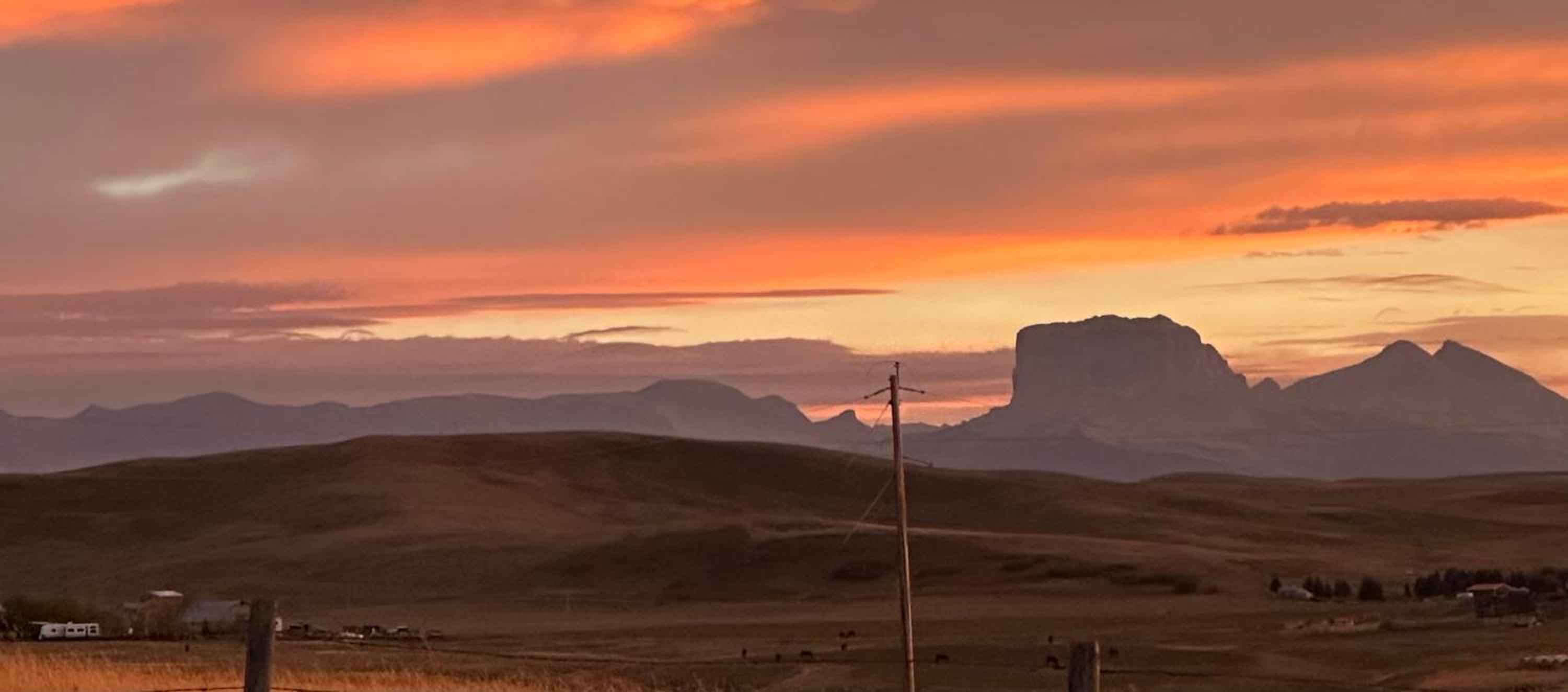 Foothills Ranch & Airbnb
