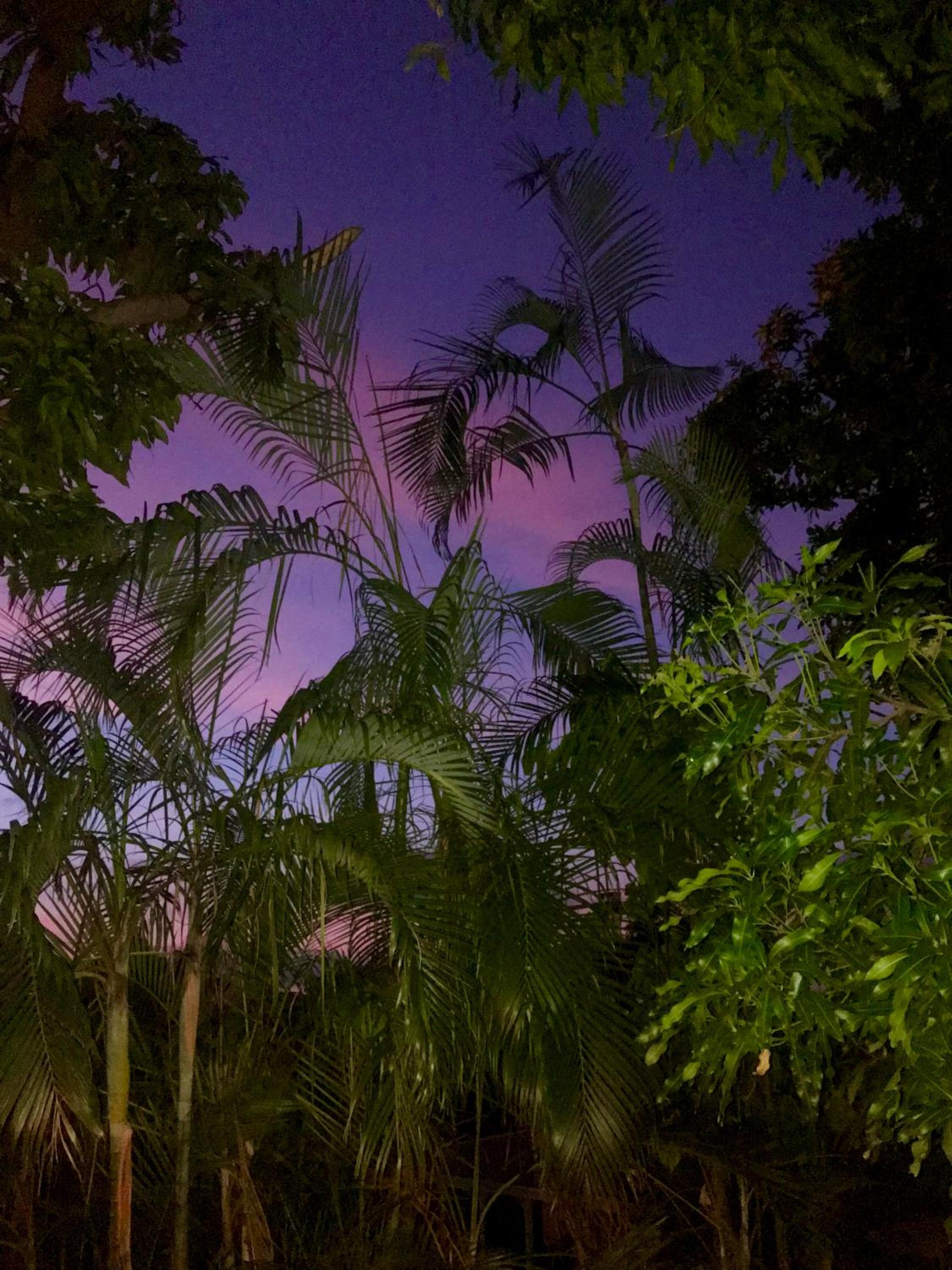 Villa Coco Caraïbes