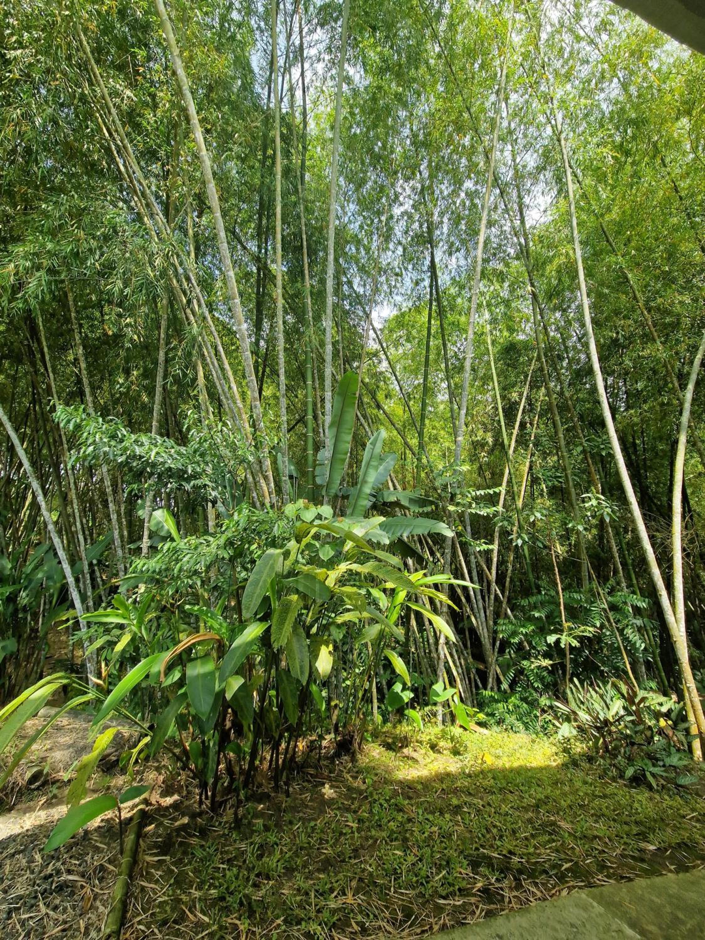 Bhutan Filandia