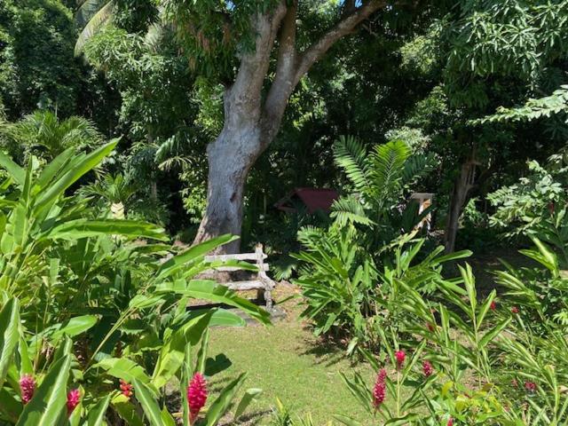 Villa Coco Caraïbes