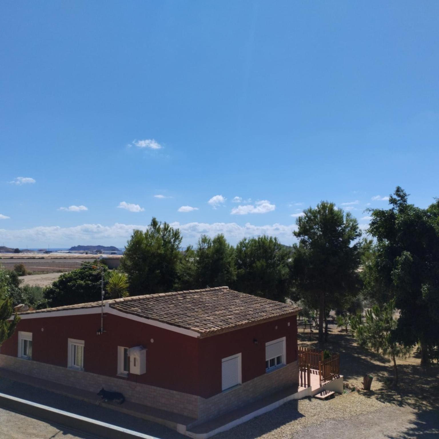 VENTA PURA