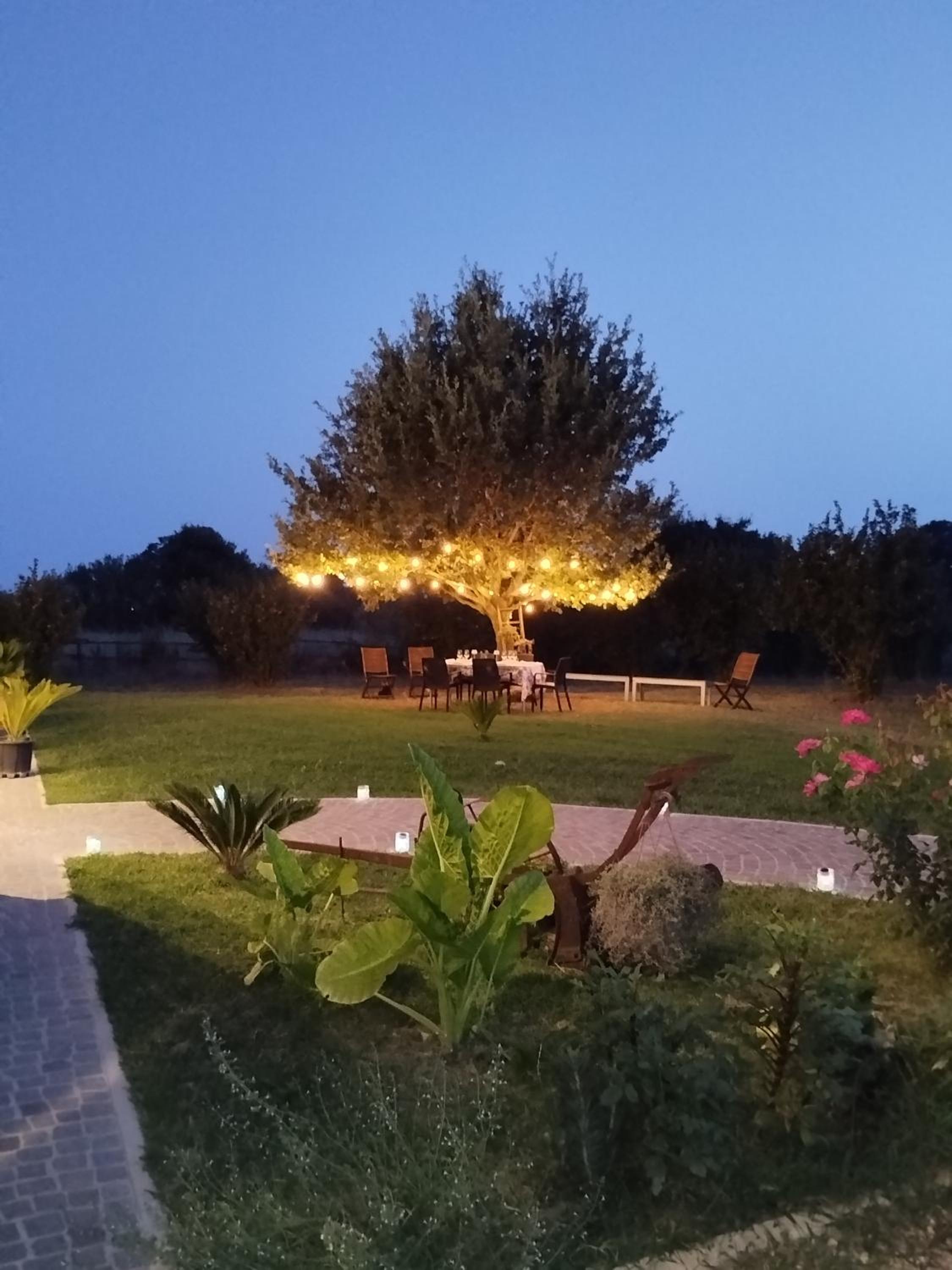 Agriturismo Casale Lisalola photo 3