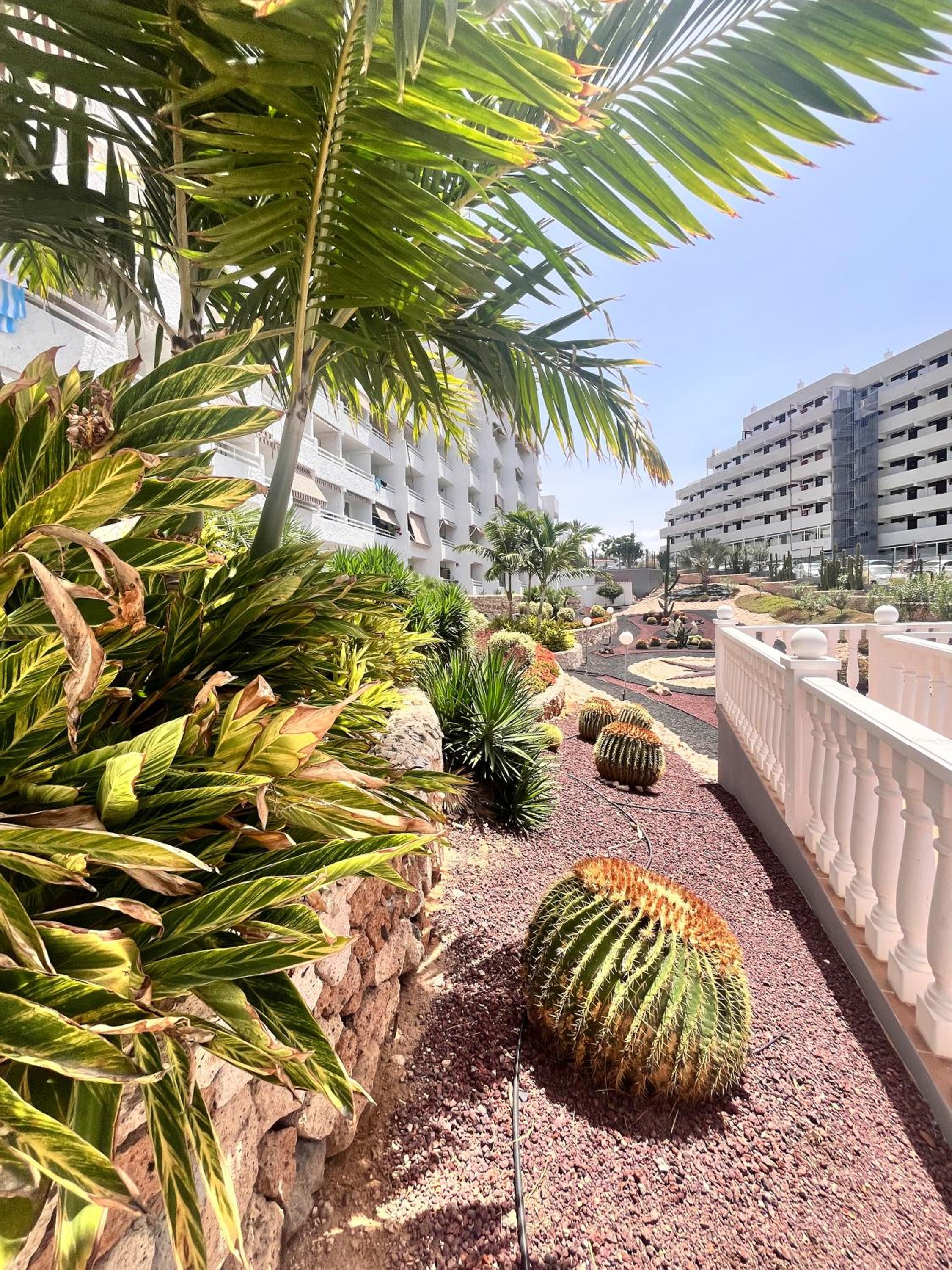 Cactus Apartment