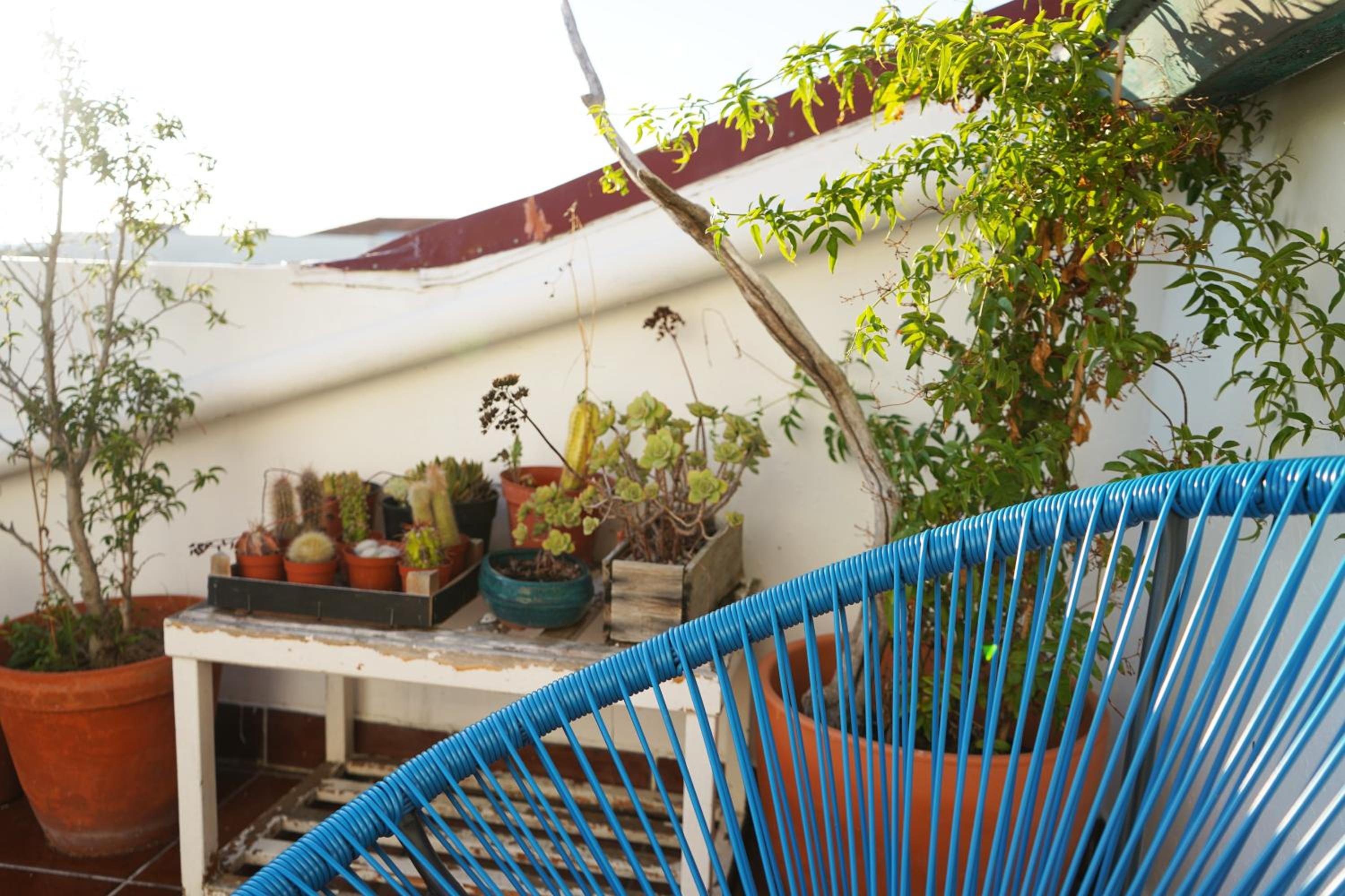 roof