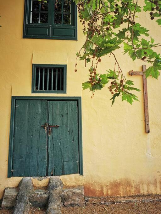 Casa entre viñedos