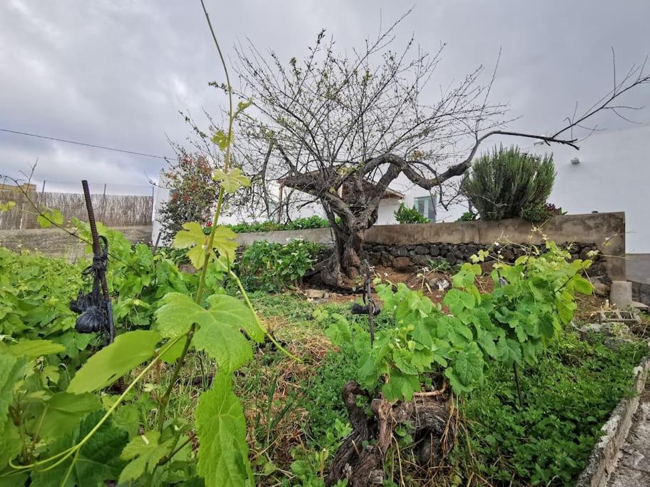 Casa entre viñedos