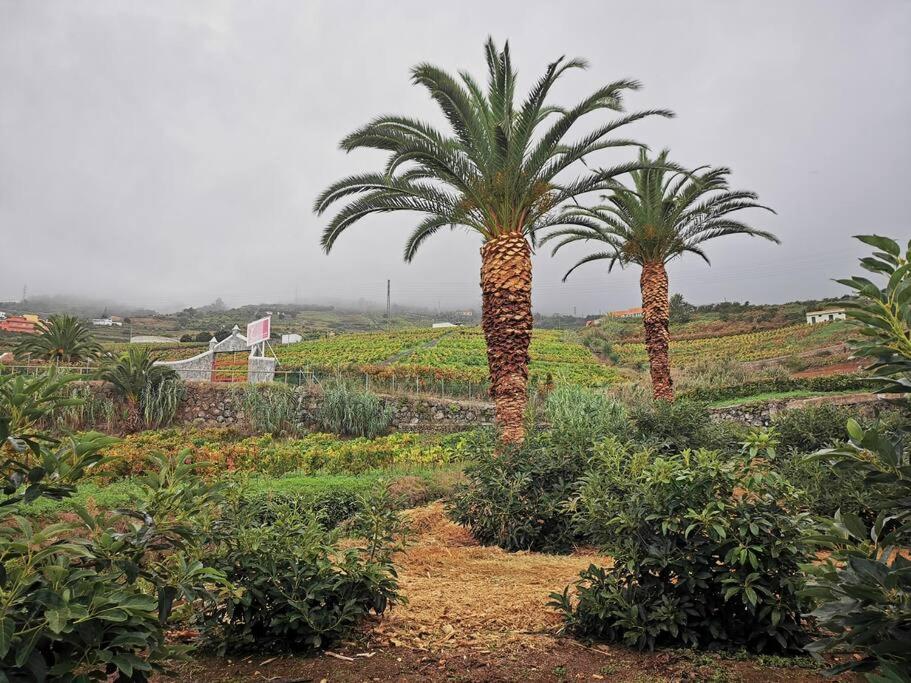Casa entre viñedos
