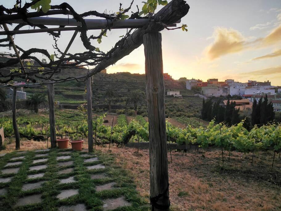 Casa entre viñedos