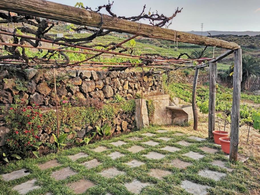Casa entre viñedos