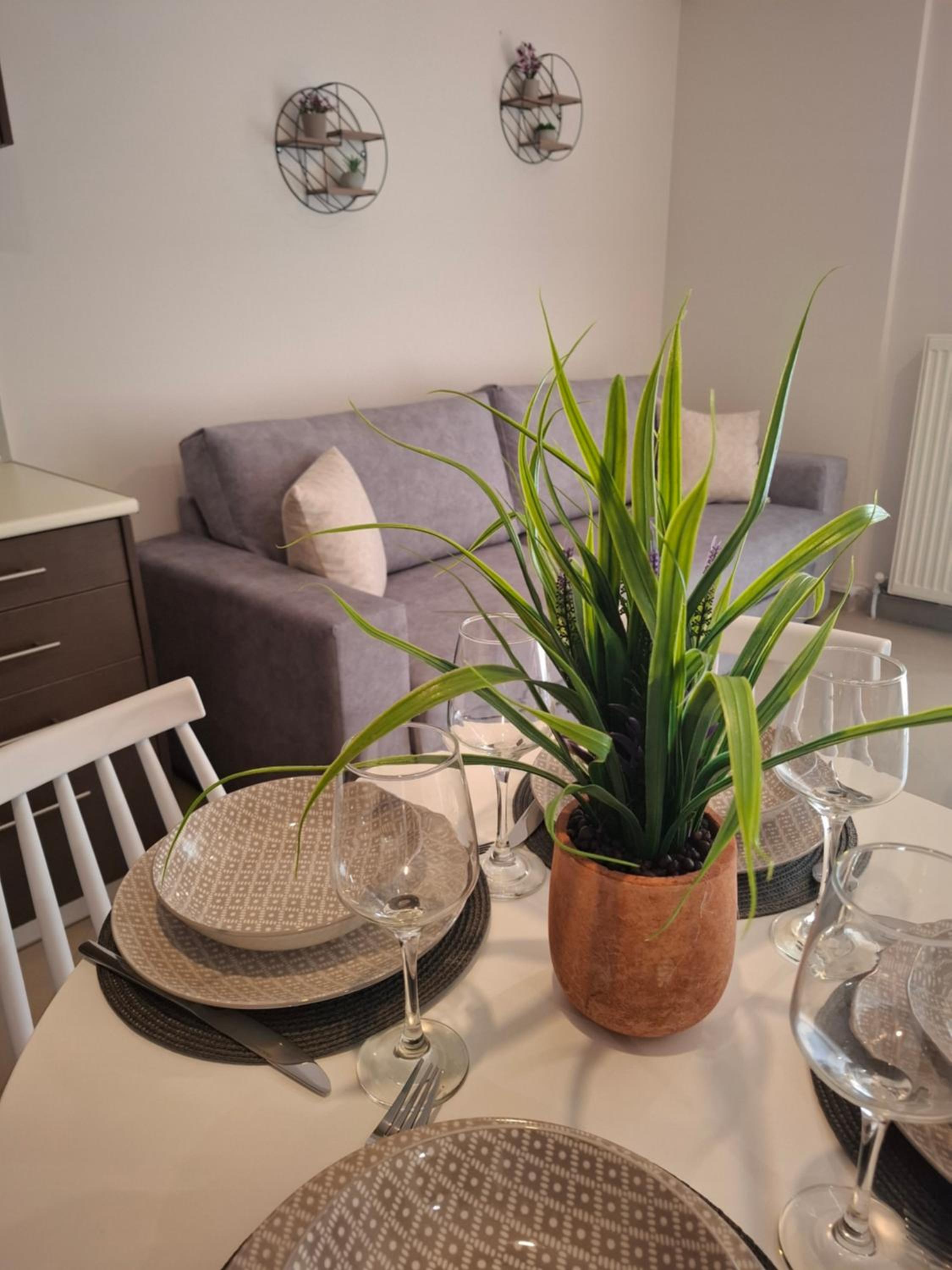 BRIGHT ELEGANCE #DTerra Apartments#