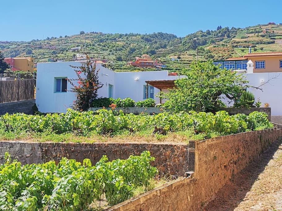 Casa entre viñedos