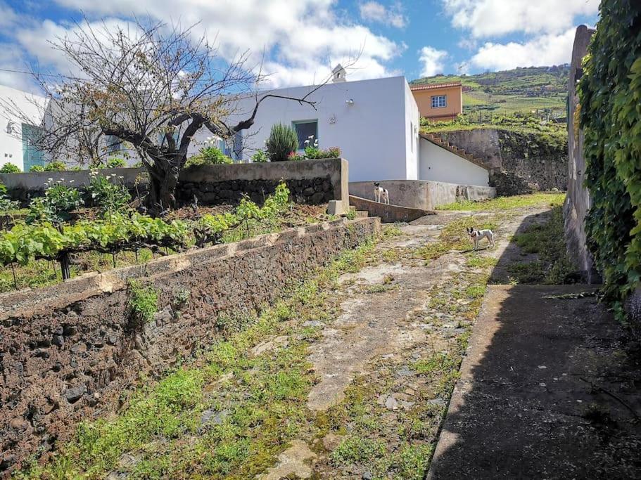 Casa entre viñedos