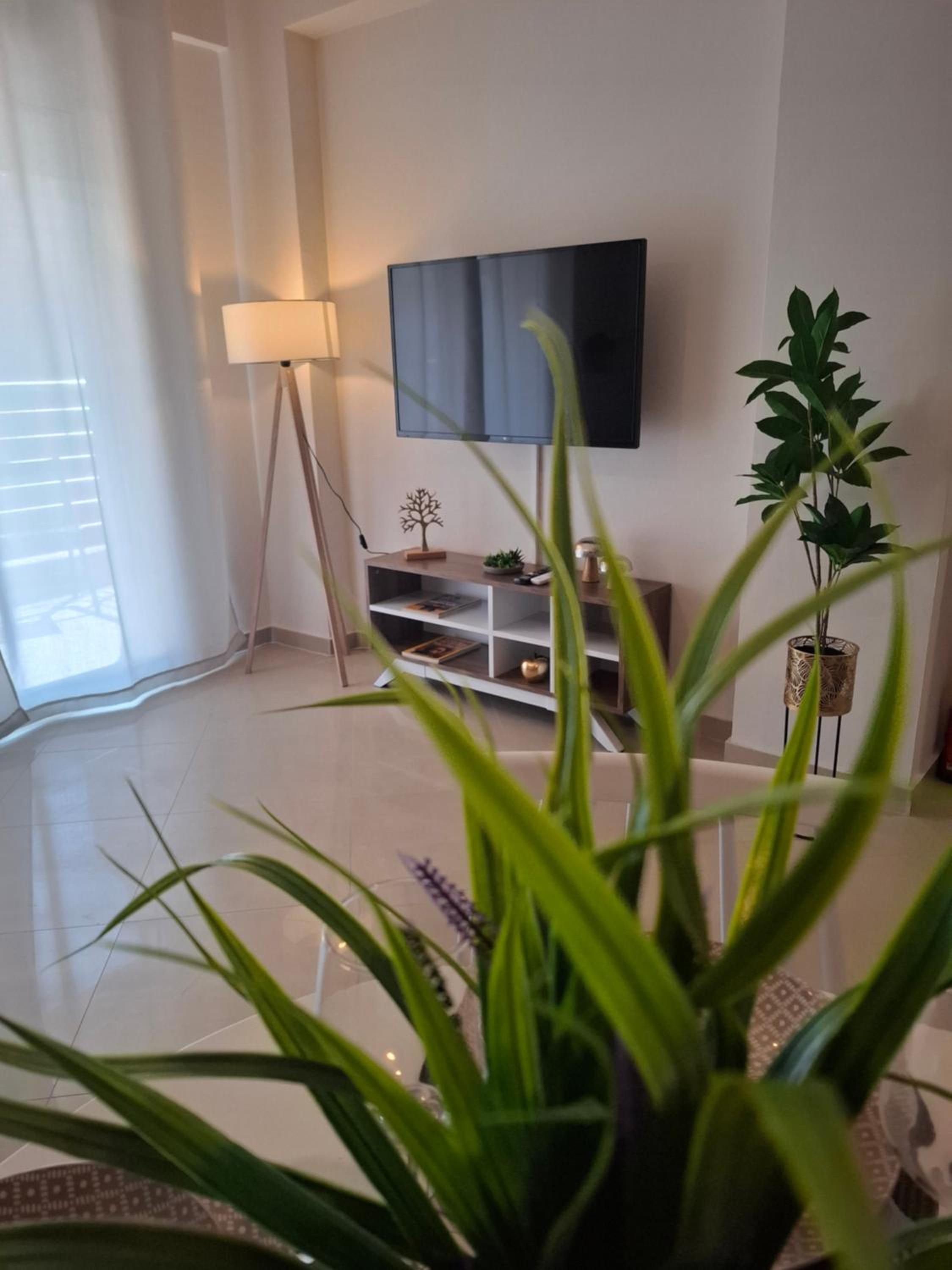 BRIGHT ELEGANCE #DTerra Apartments#