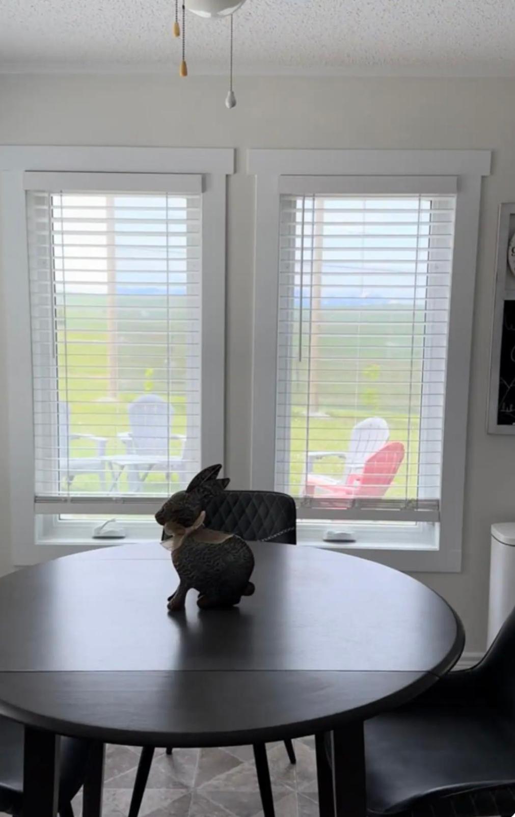 Foothills Ranch & Airbnb