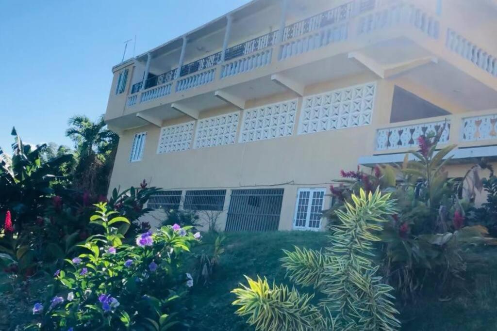 Hacienda Rose Tropical Paradise