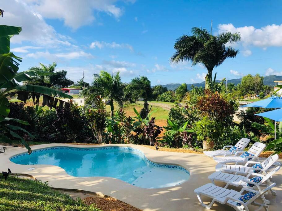 Hacienda Rose Tropical Paradise