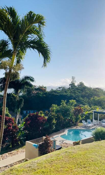 Hacienda Rose Tropical Paradise